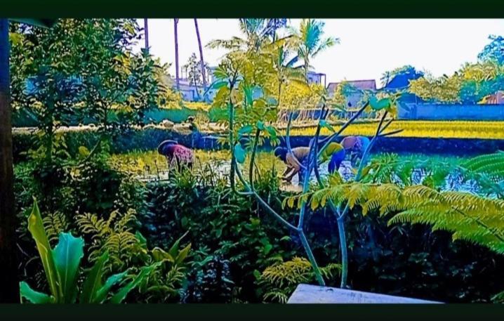 Citra Homestay เตเตบาตู ภายนอก รูปภาพ