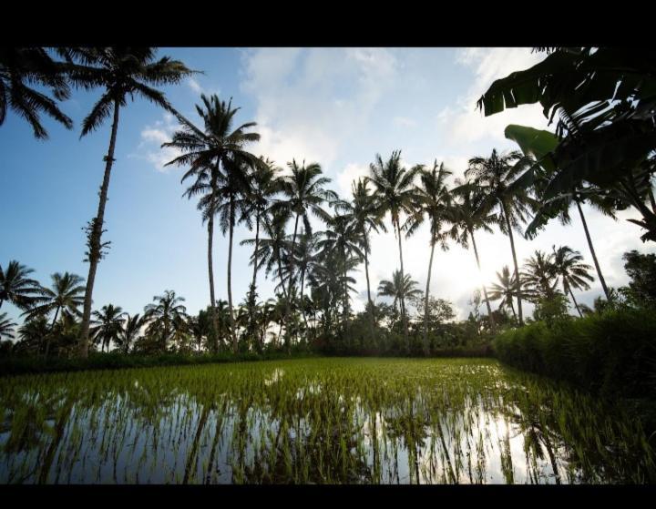 Citra Homestay เตเตบาตู ภายนอก รูปภาพ