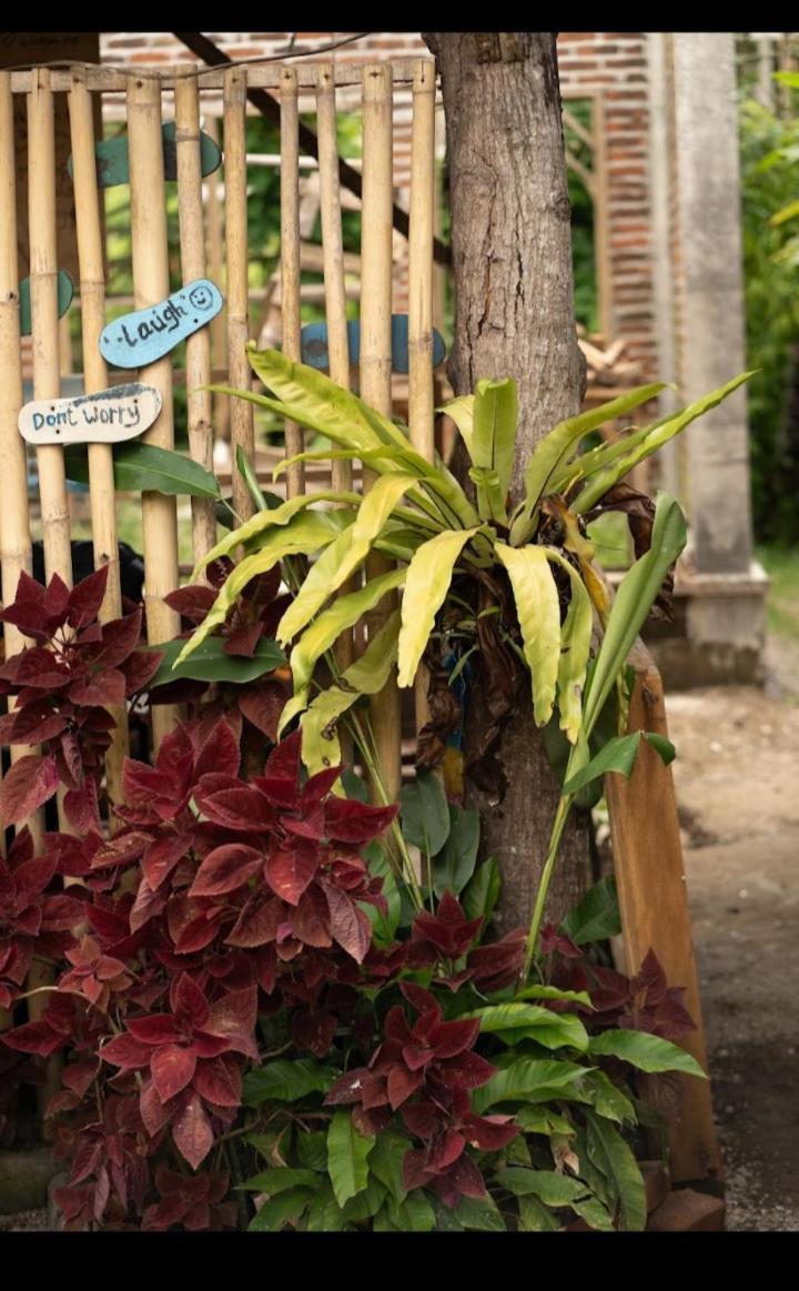 Citra Homestay เตเตบาตู ภายนอก รูปภาพ