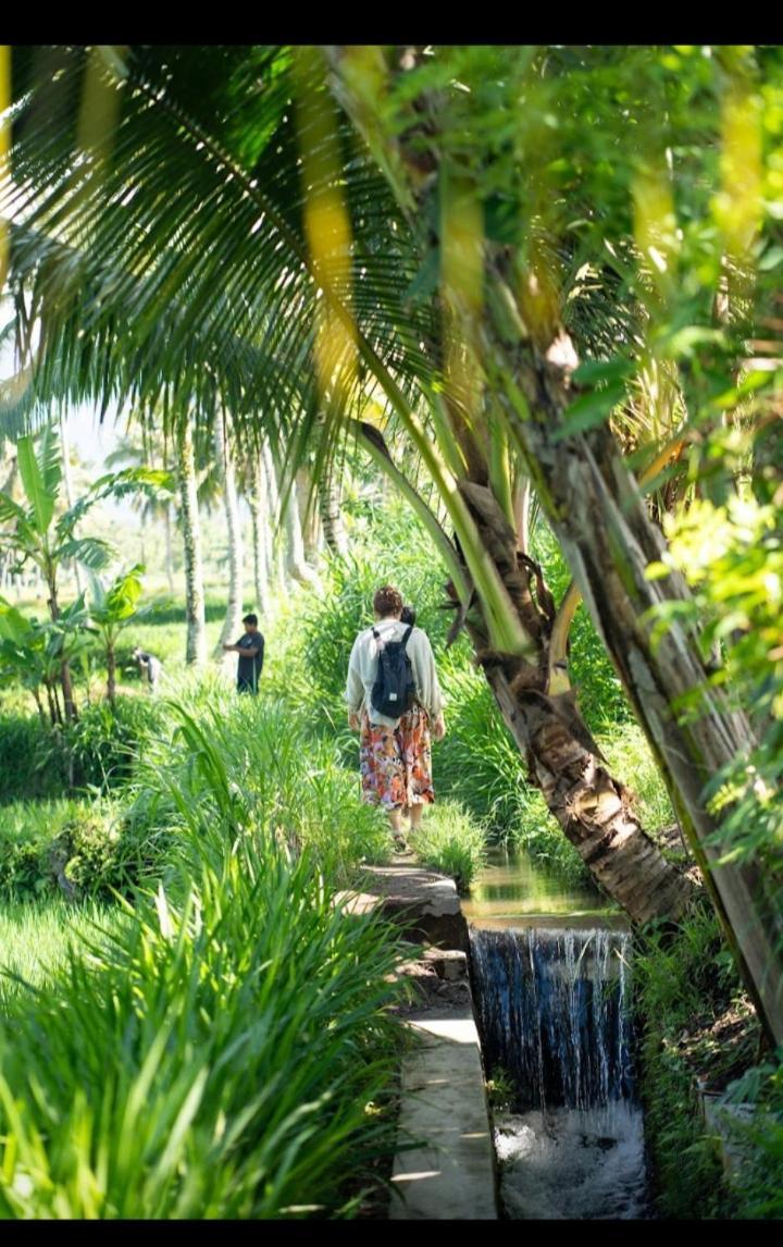 Citra Homestay เตเตบาตู ภายนอก รูปภาพ