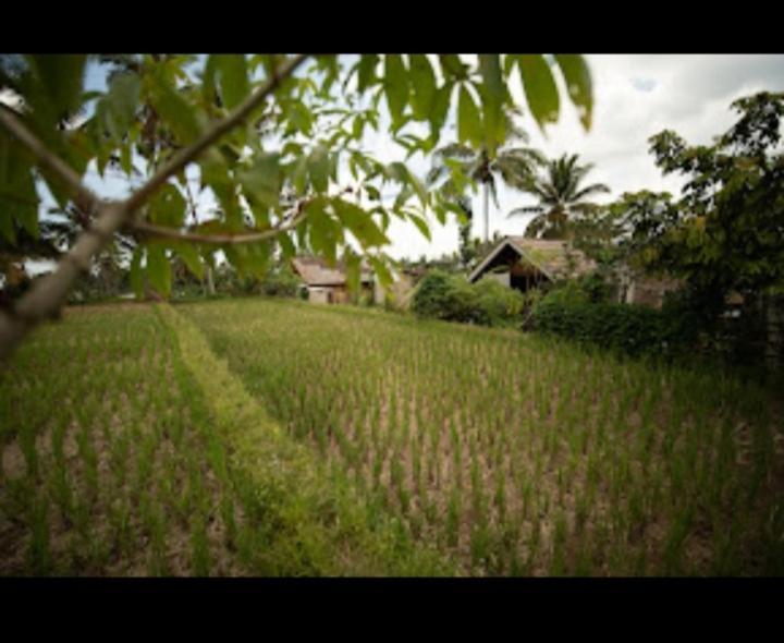 Citra Homestay เตเตบาตู ภายนอก รูปภาพ