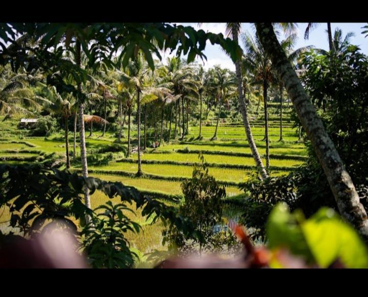 Citra Homestay เตเตบาตู ภายนอก รูปภาพ