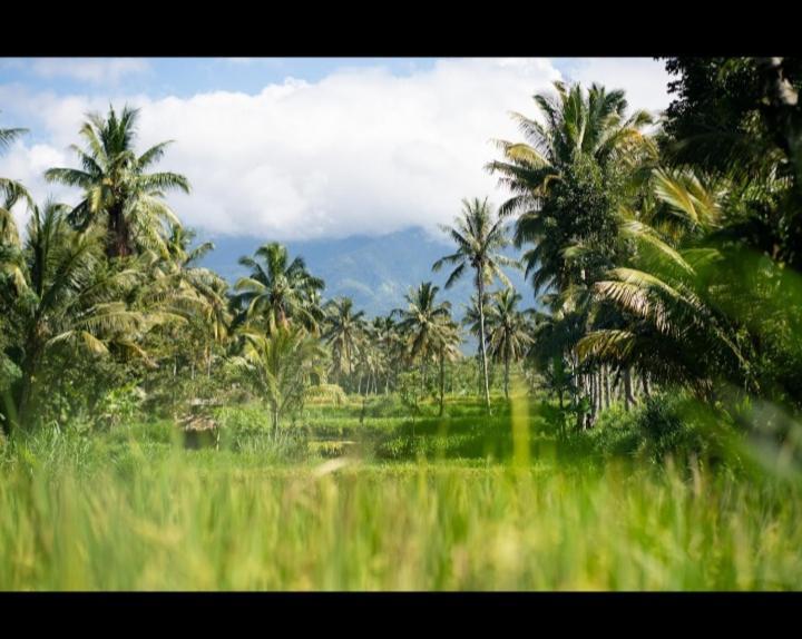 Citra Homestay เตเตบาตู ภายนอก รูปภาพ
